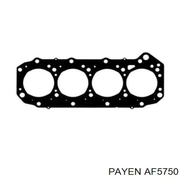 AF5750 Payen прокладка головки блока циліндрів (гбц)