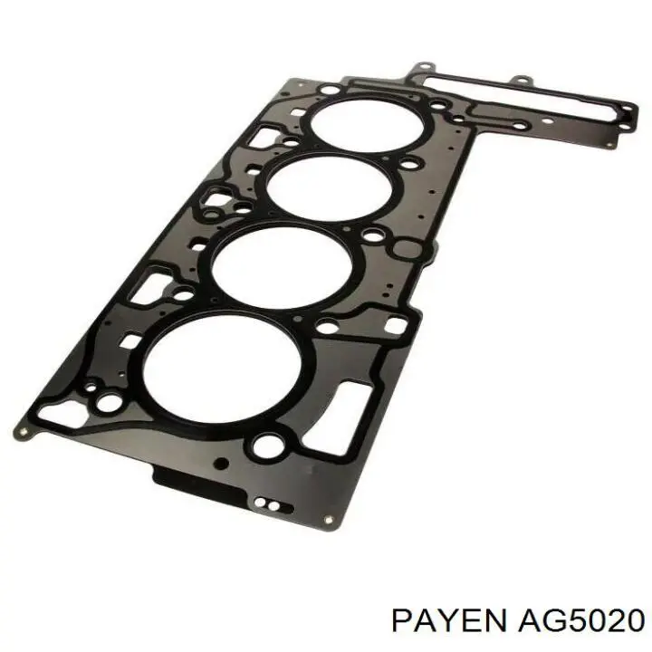 AG5020 Payen прокладка головки блока циліндрів (гбц)