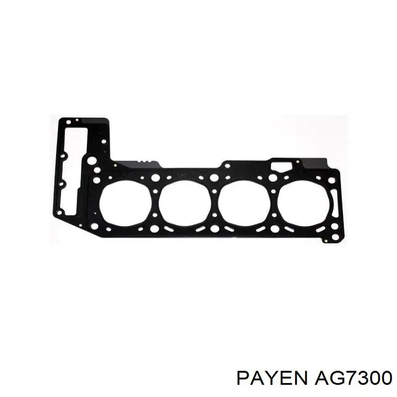 Купити AG7300 Payen Прокладка ГБЦ