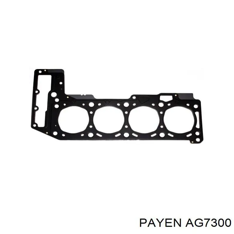 AG7300 Payen прокладка головки блока циліндрів (гбц)