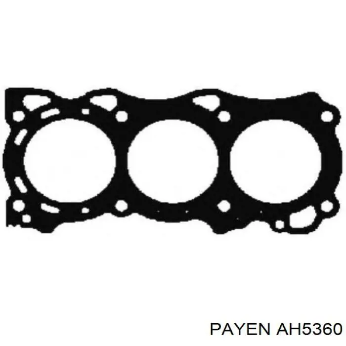 AH5360 Payen прокладка головки блока циліндрів (гбц)