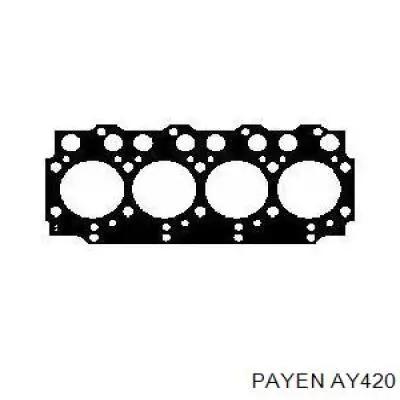 AY420 Payen прокладка головки блока циліндрів (гбц)