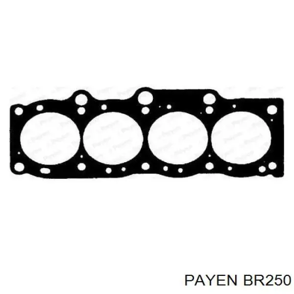 Купити BR250 Payen Прокладка ГБЦ