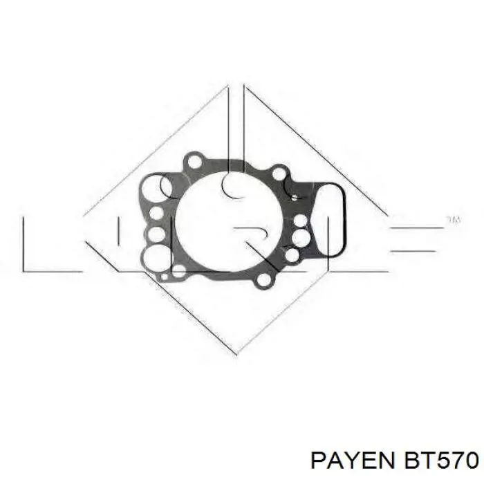 Купити BT570 Payen Прокладка ГБЦ