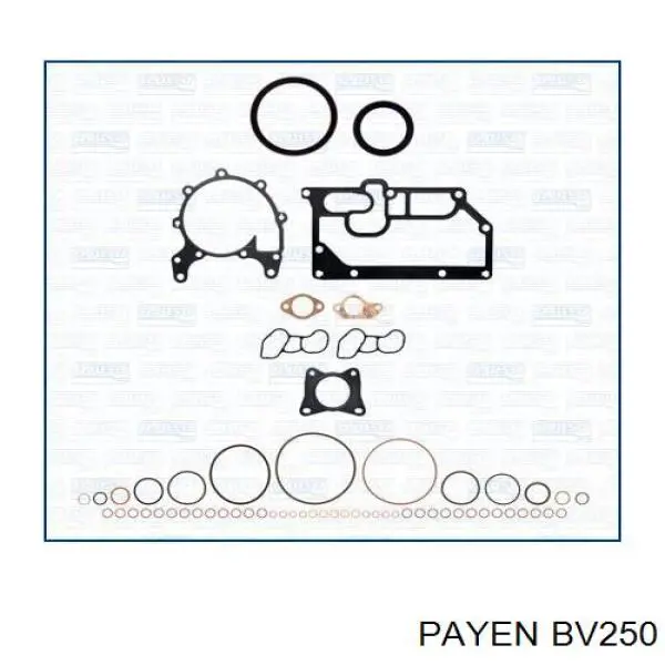 Купити BV250 Payen Прокладка ГБЦ