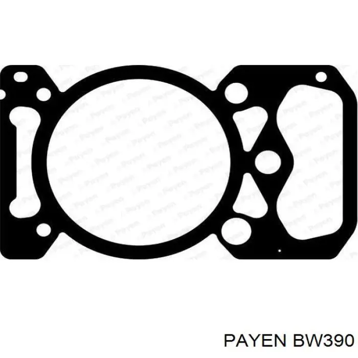 BW390 Payen Прокладка під головку