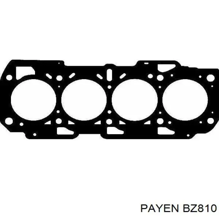 BZ810 Payen прокладка головки блока циліндрів (гбц)