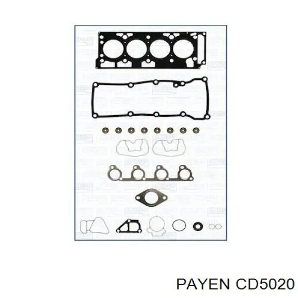 CD5020 Payen комплект прокладок двигуна, верхній