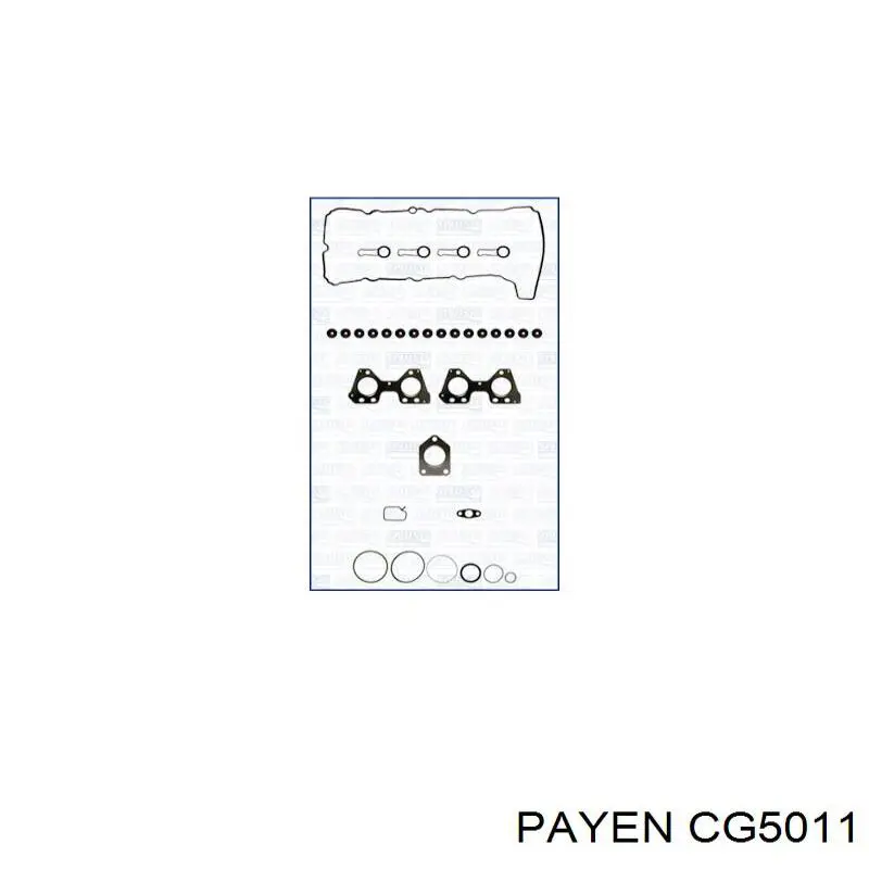 CG5011 Payen комплект прокладок двигуна, верхній