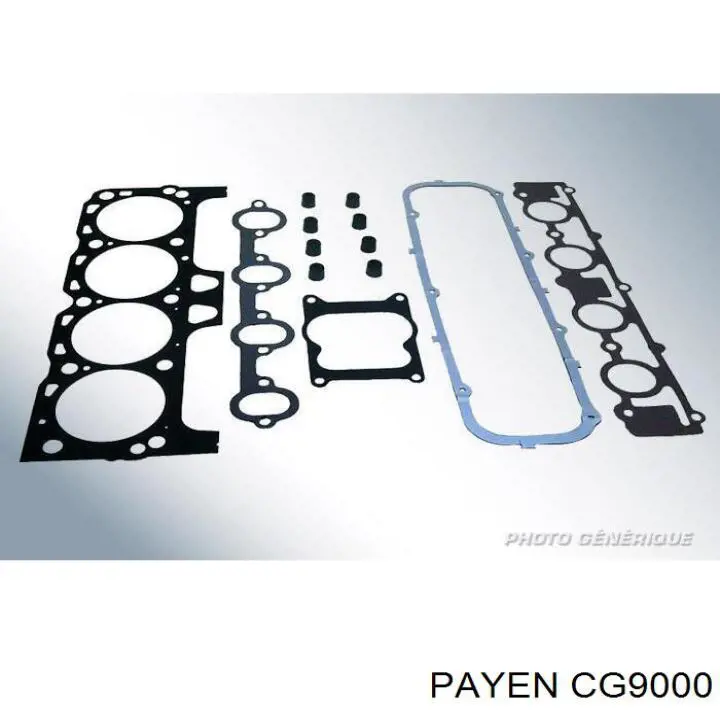 CG9000 Payen комплект прокладок двигуна, верхній