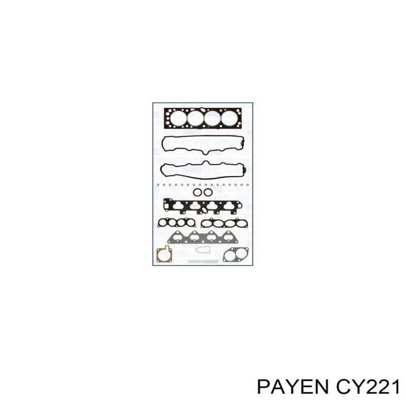 CY221 Payen комплект прокладок двигуна, верхній