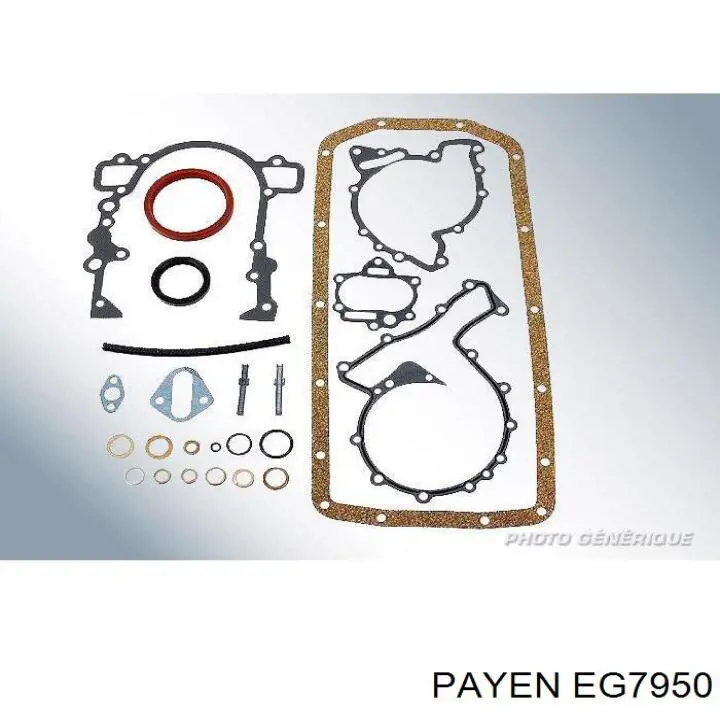 EG7950 Payen комплект прокладок двигуна, нижній