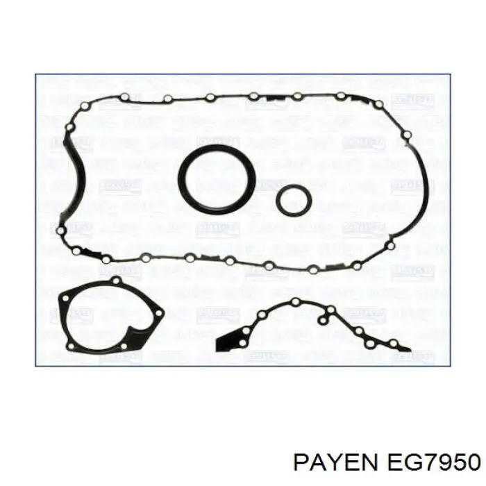 Купити EG7950 Payen Комплект прокладок двигуна, нижній