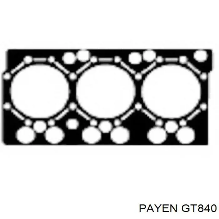 GT840 Payen Набір прокладок двигуна