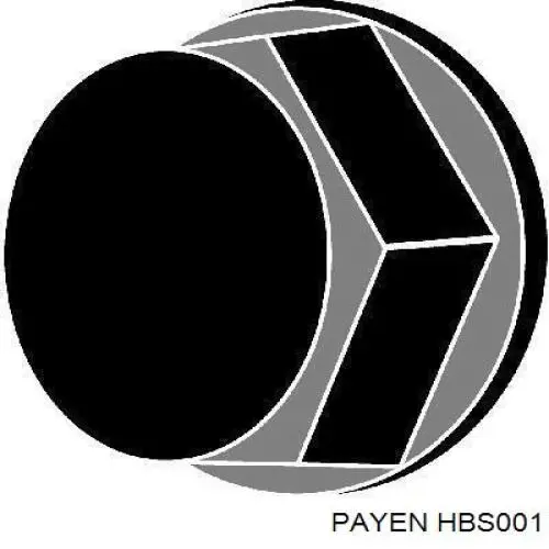 Болт головки блока циліндрів, ГБЦ Payen HBS001 ціна, від 13.15 USD