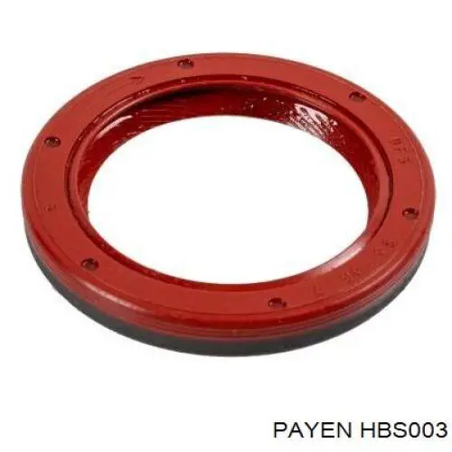 HBS003 Payen Болт головки блока цилиндров (Ком-кт)