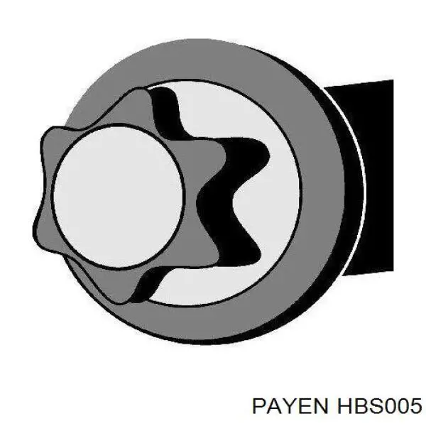 HBS005 Payen болт головки блока циліндрів, гбц