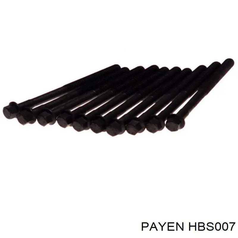Болт головки блока циліндрів, ГБЦ Payen HBS007 ціна, від 17.68 USD
