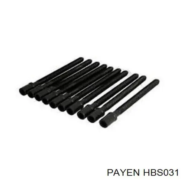 Купити HBS031 Payen Болт гбц