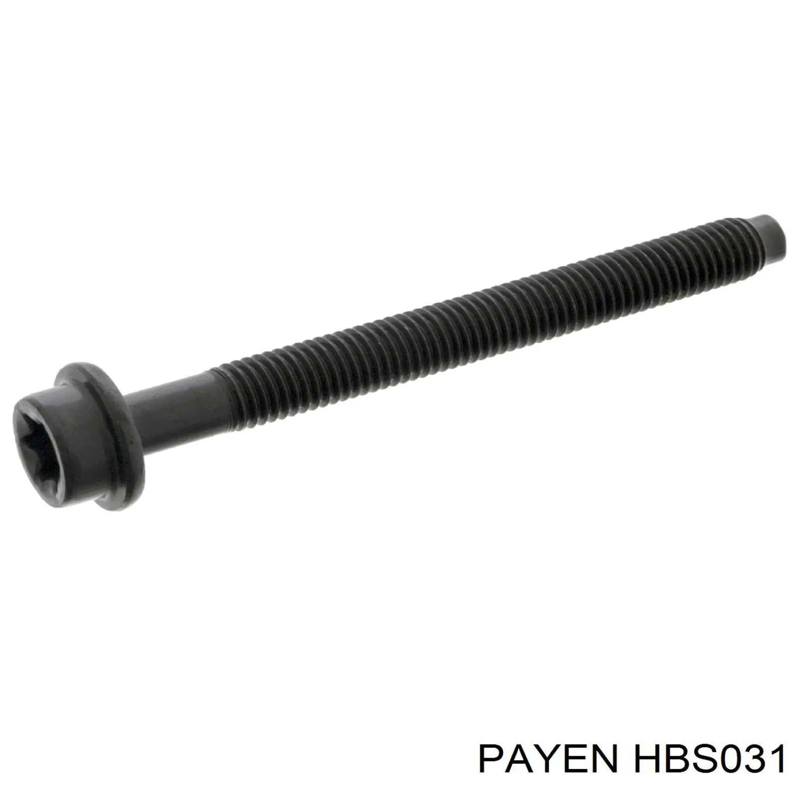 Болт головки блока циліндрів, ГБЦ Payen HBS031 ціна, від 10.25 USD