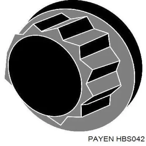 HBS042 Payen болт головки блока циліндрів, гбц