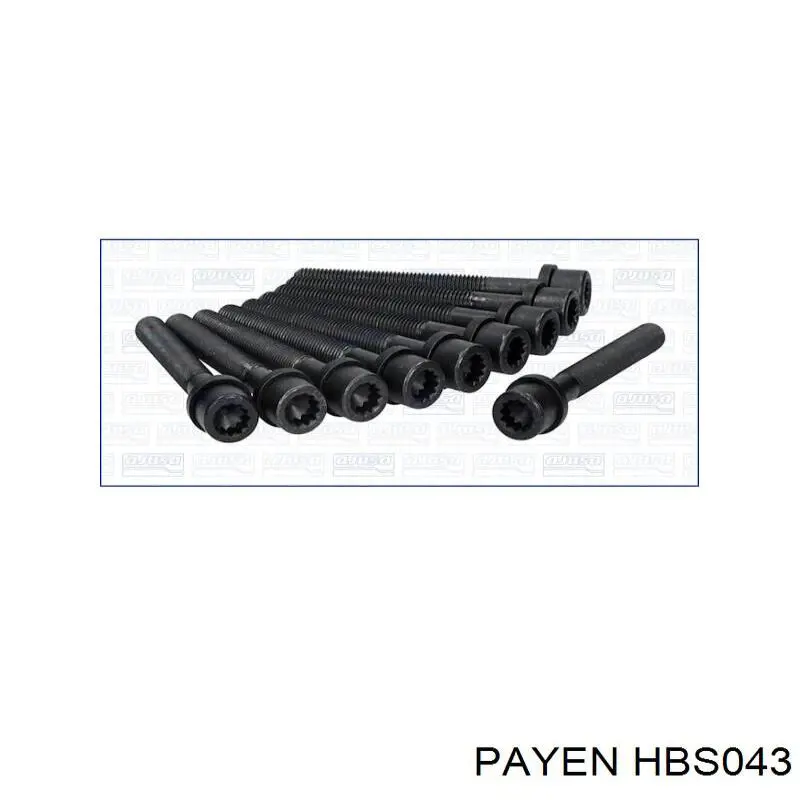 Купити HBS043 Payen Болт гбц