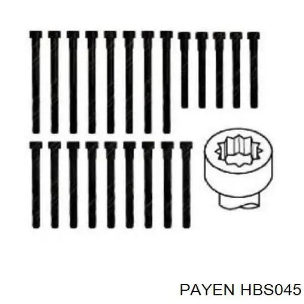 HBS045 Payen болт головки блока циліндрів, гбц