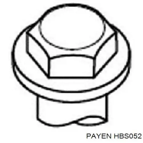 HBS052 Payen болт головки блока циліндрів, гбц
