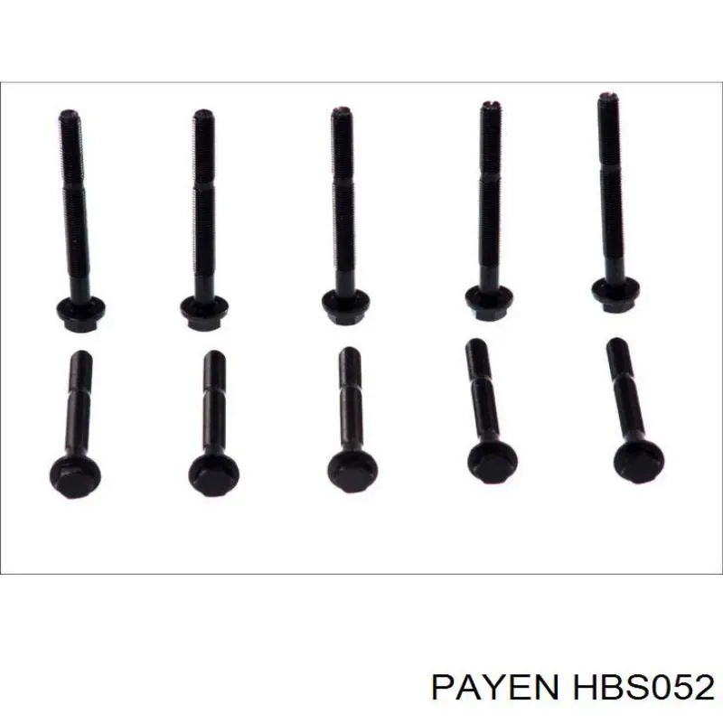 Купити HBS052 Payen Болт гбц