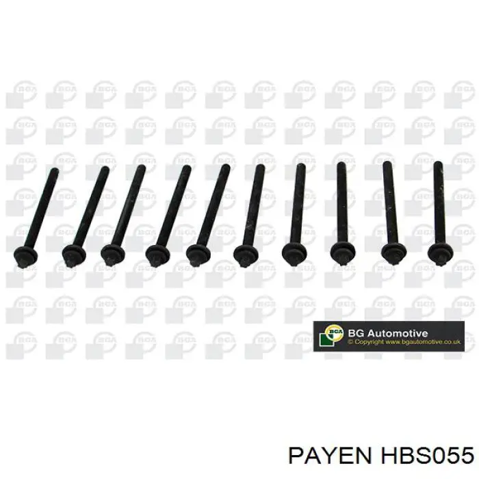 HBS055 Payen Болт головки блока цилиндров (Ком-кт)