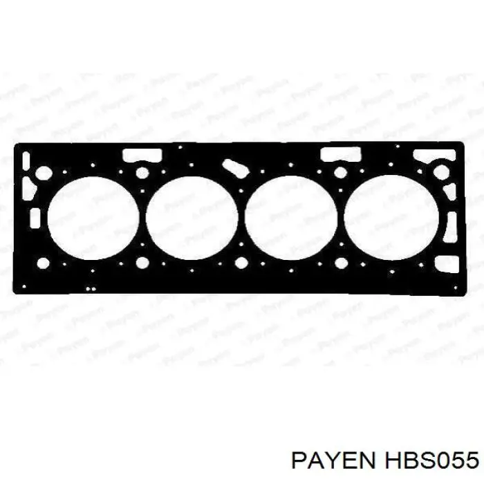HBS055 Payen Болт кріплення головки блоку циліндрів