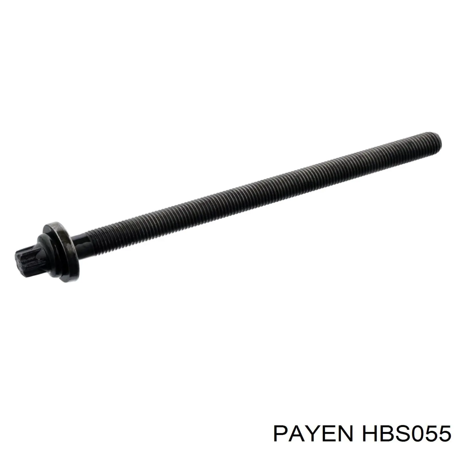 Болт ГБЦ HBS055 Payen