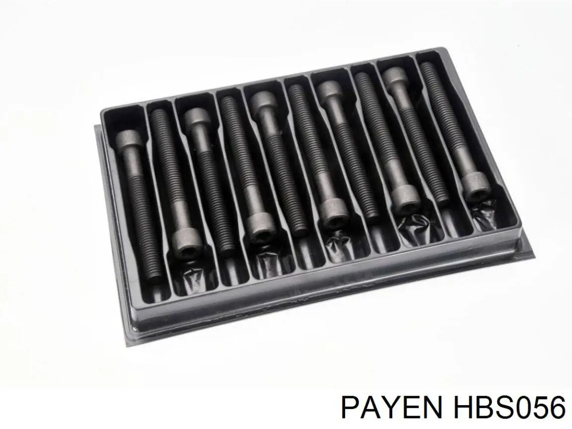 Болт ГБЦ HBS056 Payen