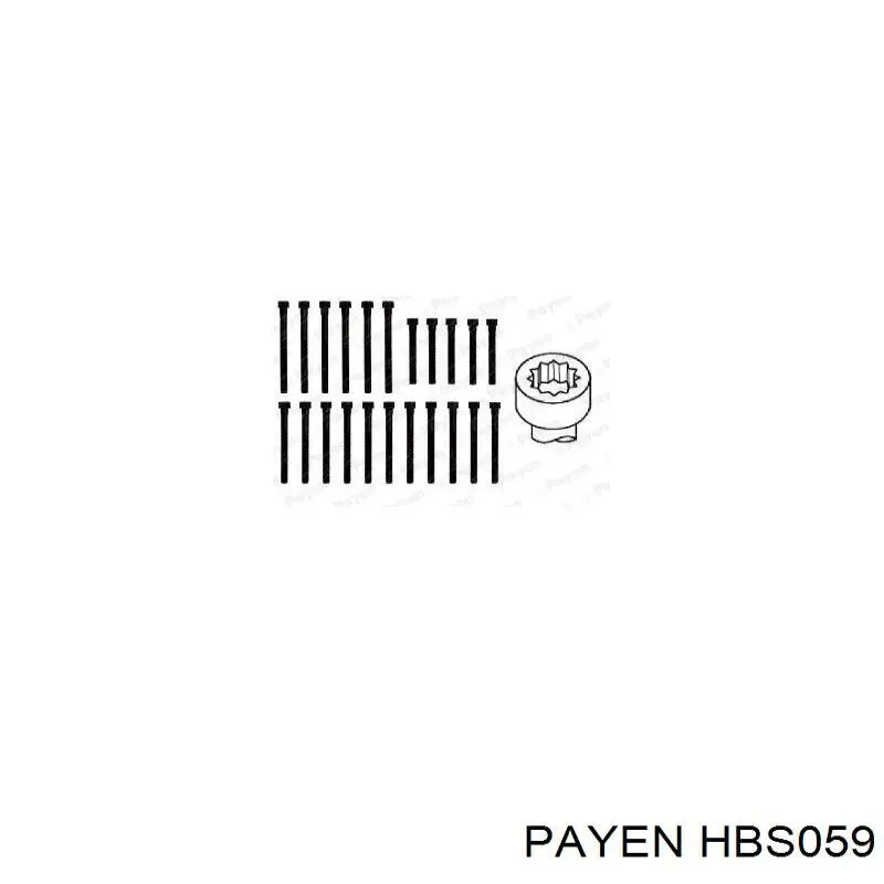 Купити HBS059 Payen Болт гбц