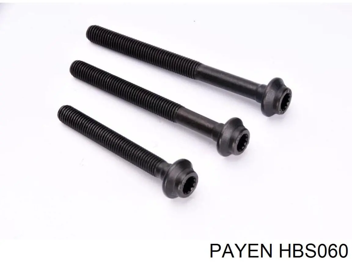 Болт ГБЦ HBS060 Payen