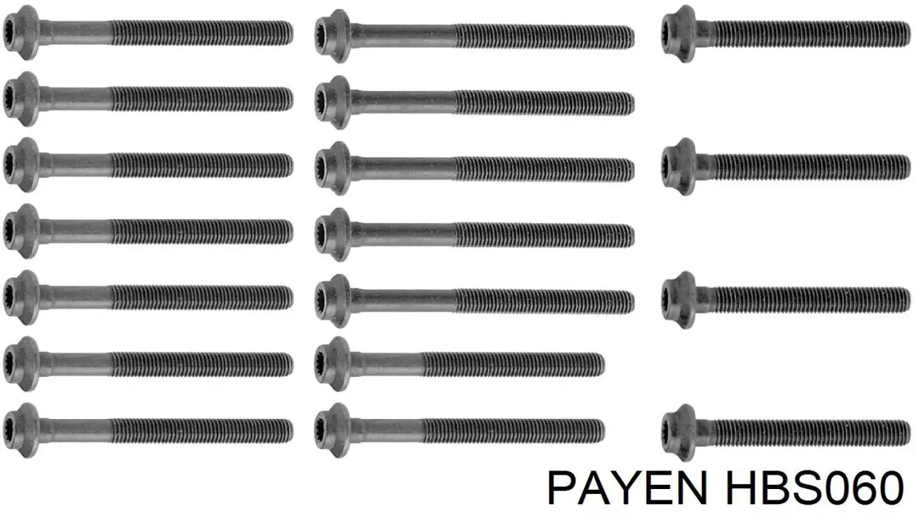 HBS060 Payen Болт кріплення головки блоку циліндрів