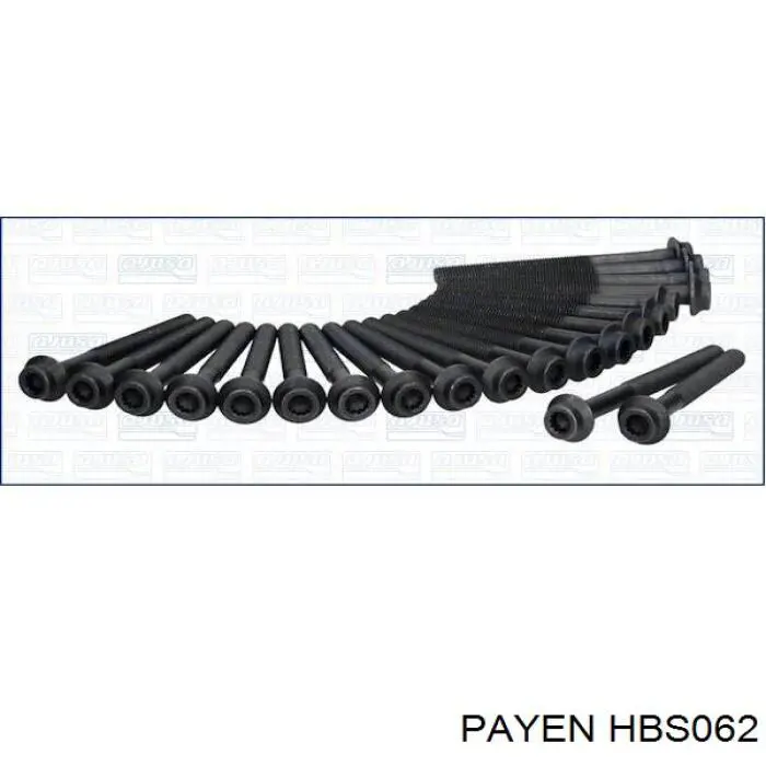 HBS062 Payen Болт кріплення головки блоку циліндрів