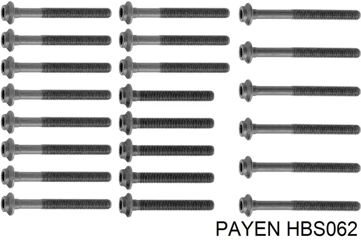 Болт ГБЦ HBS062 Payen