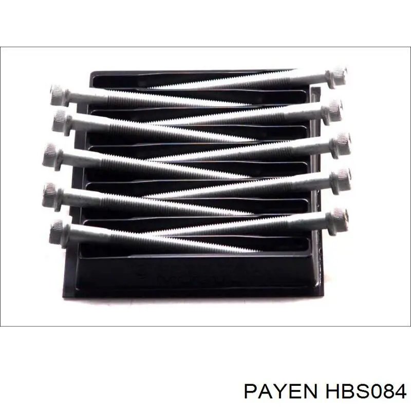 HBS084 Payen Болт головки блока цилиндров (Комплект; Количество, шт: 10)