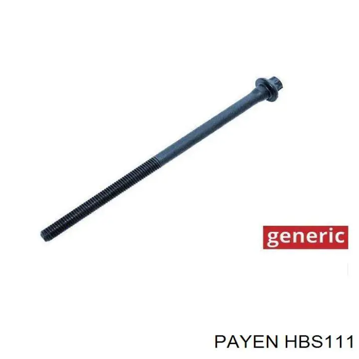 Болт головки блока циліндрів, ГБЦ Payen HBS111 ціна, від 22.83 USD