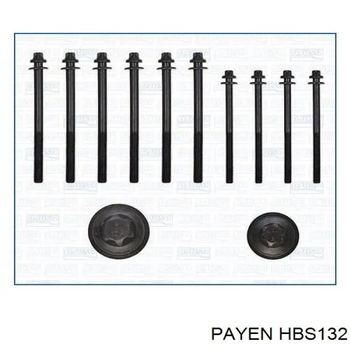 HBS132 Payen Болт головки блока цилиндров (Ком-кт)