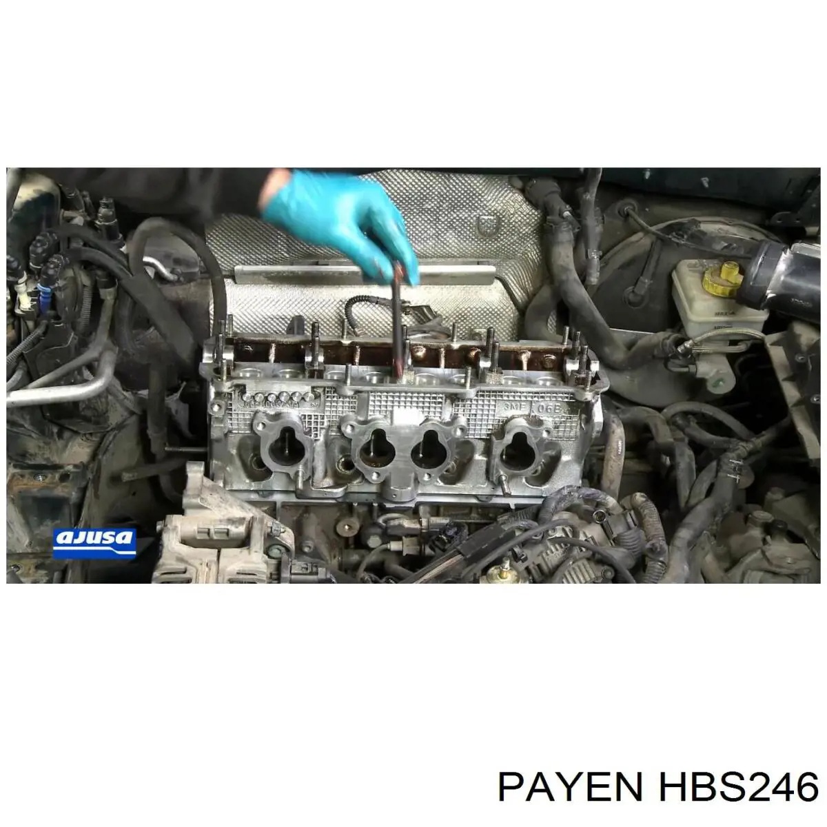 Купити HBS246 Payen Болт гбц
