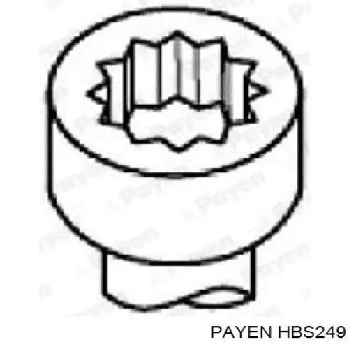 Купити HBS249 Payen Болт гбц