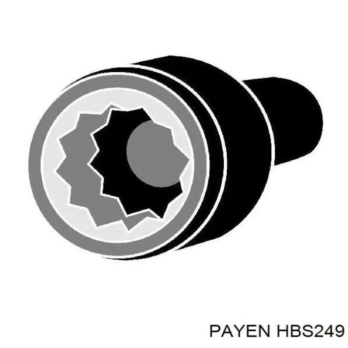 Болт ГБЦ HBS249 Payen