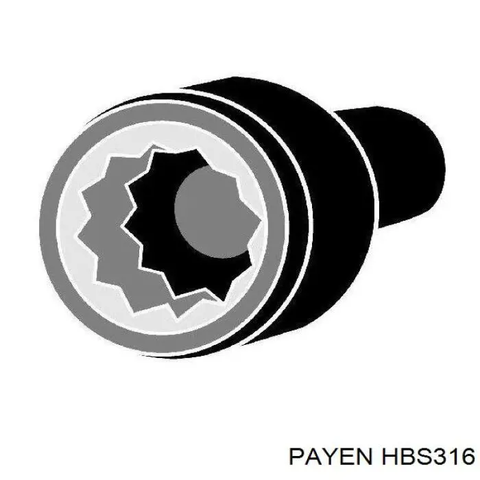 HBS316 Payen болт головки блока циліндрів, гбц