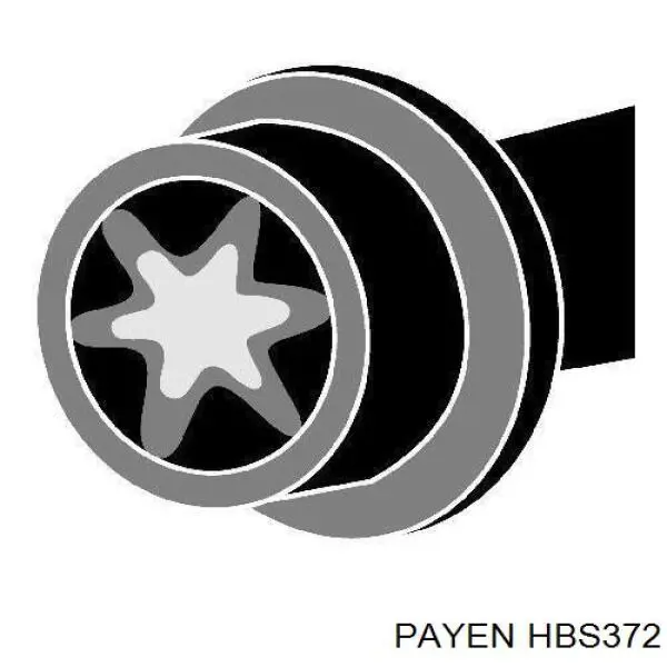 Болт головки блока циліндрів, ГБЦ HBS372 Payen