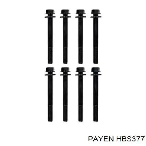 Болт головки блока циліндрів, ГБЦ Payen HBS377 ціна, від 17.08 USD