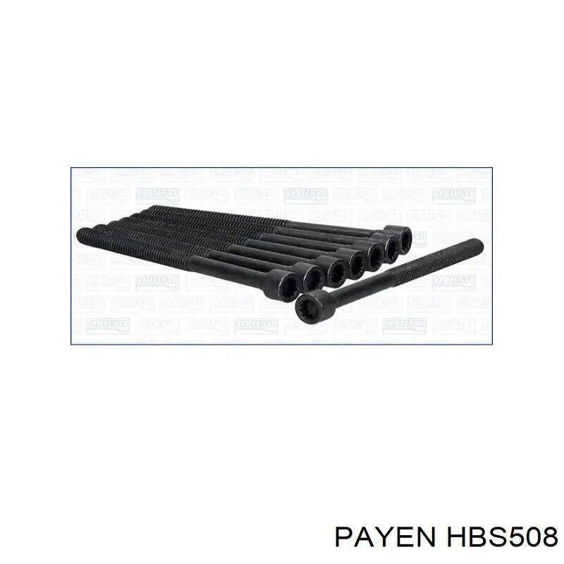 HBS508 Payen болт головки блока циліндрів, гбц