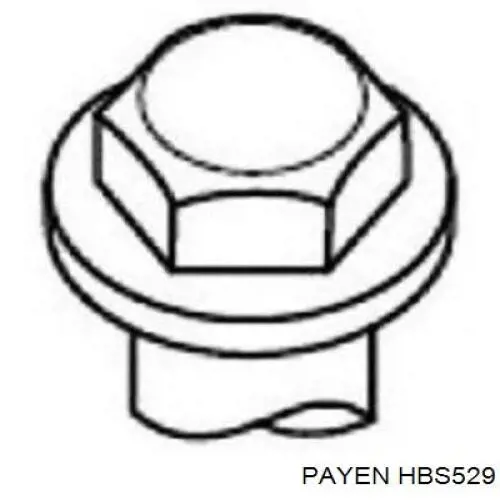 HBS529 Payen болт головки блока циліндрів, гбц
