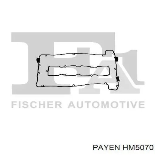HM5070 Payen прокладка клапанної кришки двигуна, комплект